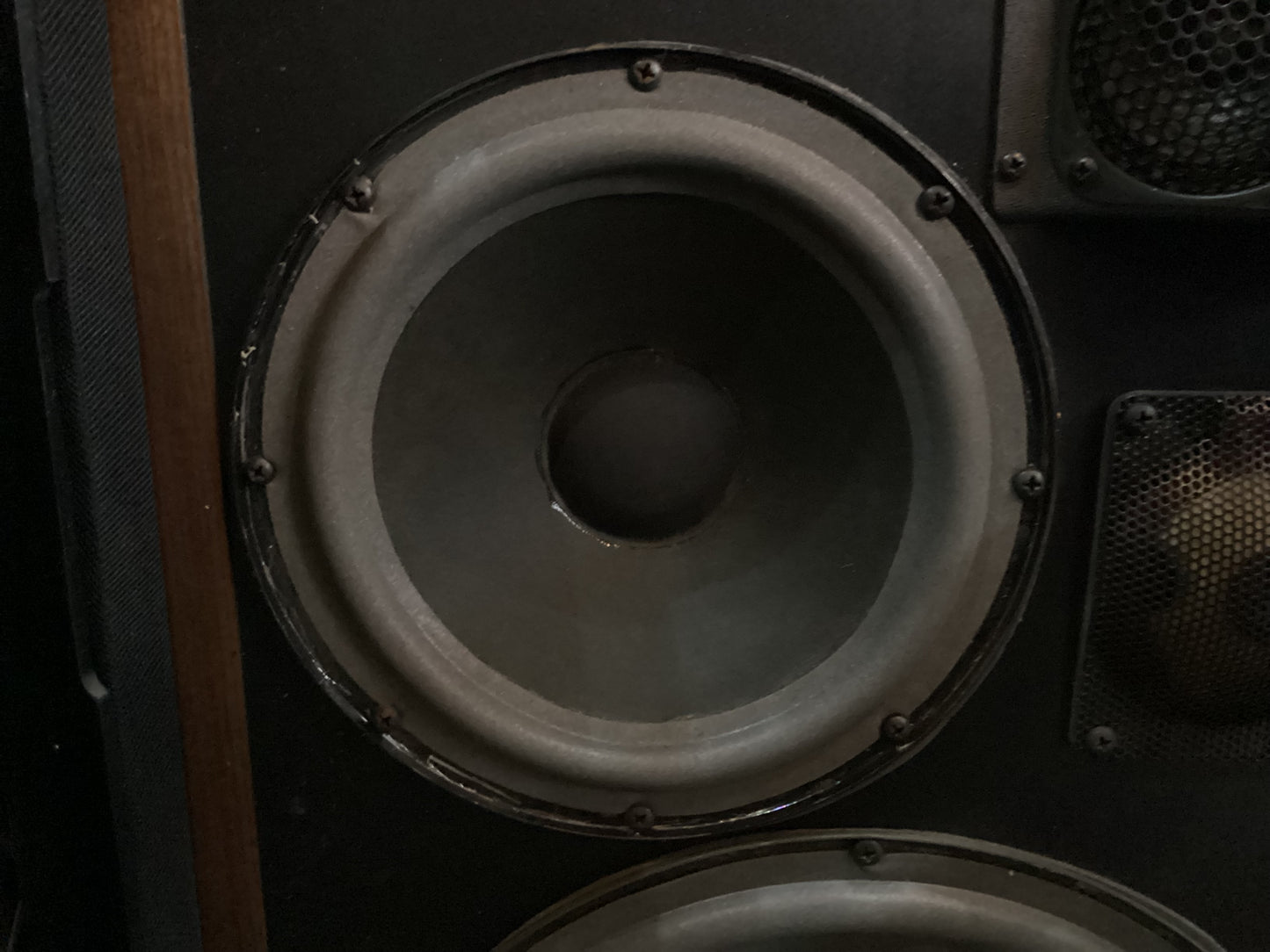 McIntosh XR5 Speakers