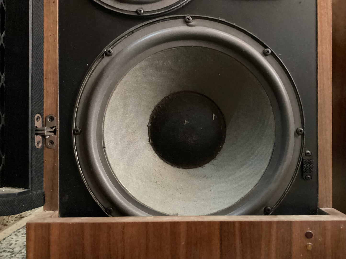 McIntosh XR5 Speakers