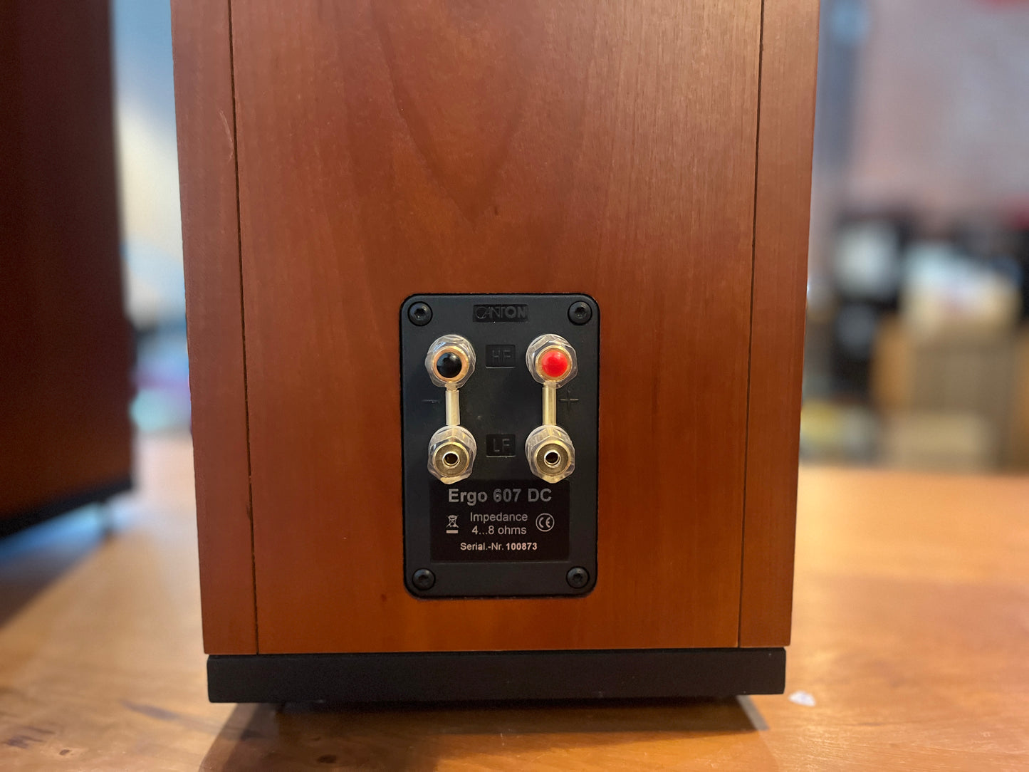 Canton Ergo 607 DC Floor Speakers
