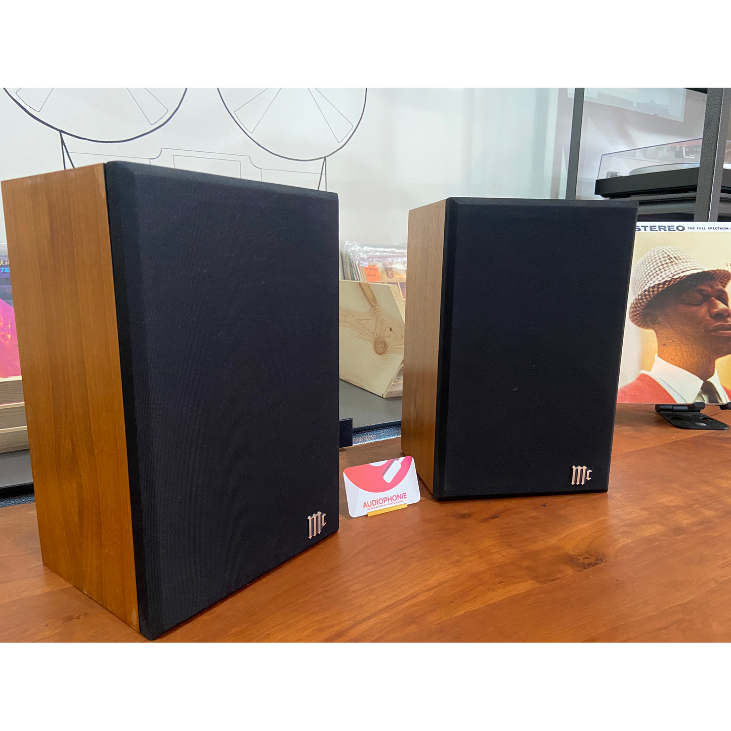 Mcintosh XL1 Haut-Parleurs (SOLD)