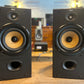 B&W DM 602 Loudspeakers (Newly Re-Foamed Suspensions + New Tweeters)
