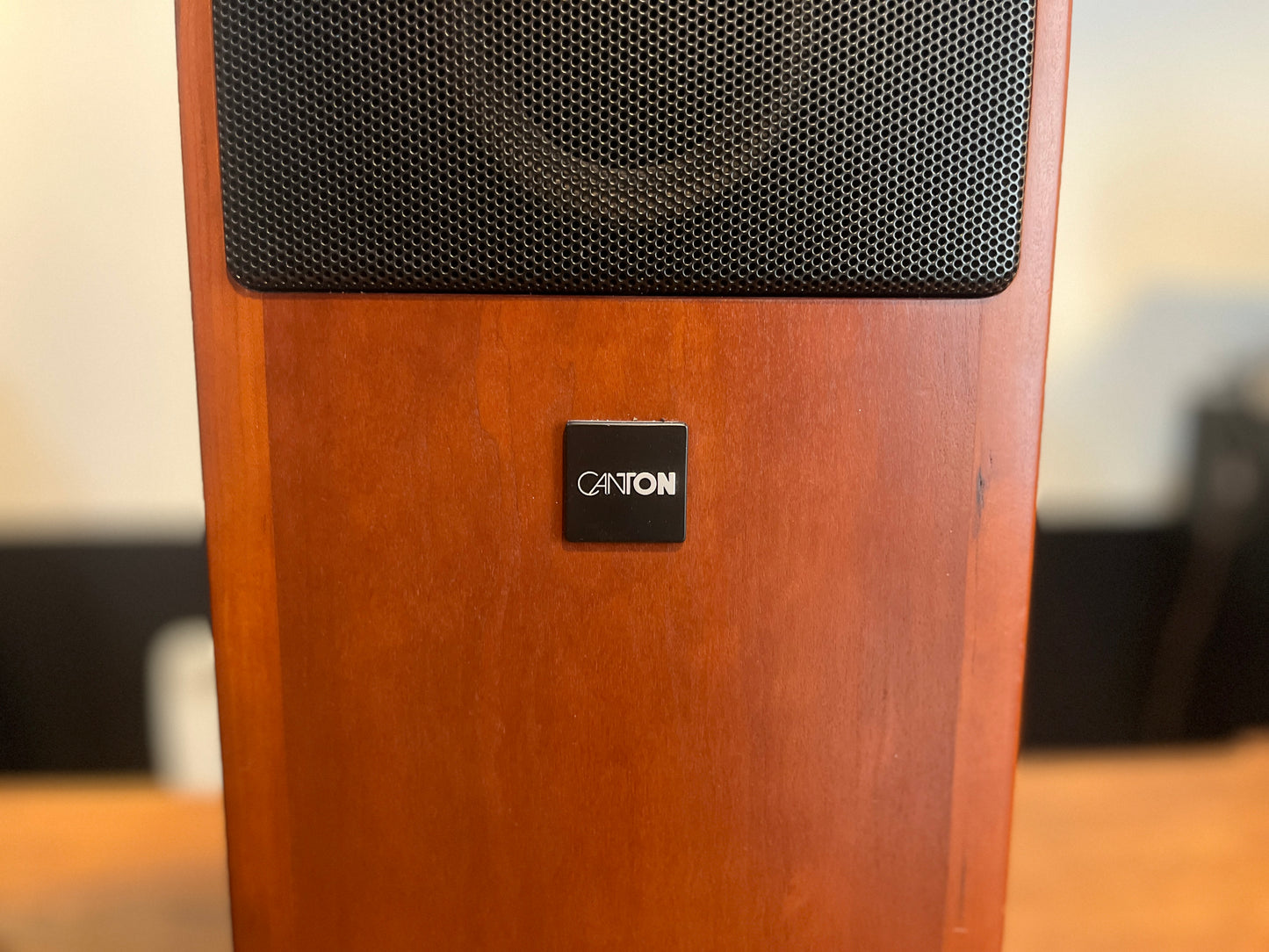 Canton Ergo 607 DC Floor Speakers