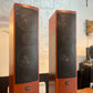 Canton Ergo 607 DC Floor Speakers