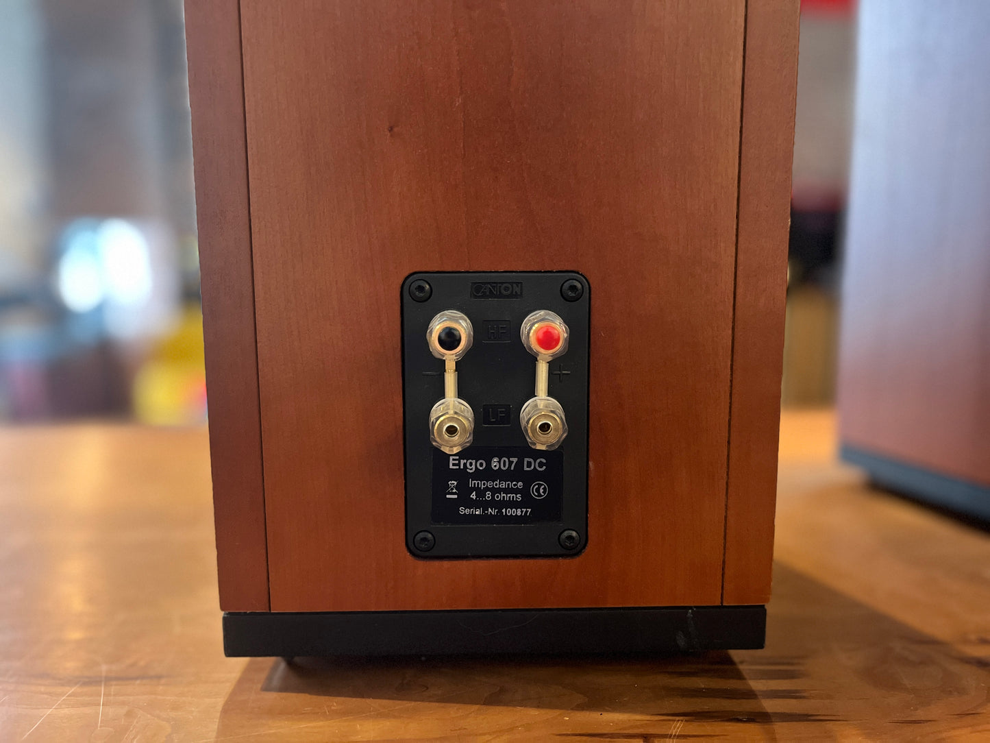 Canton Ergo 607 DC Floor Speakers