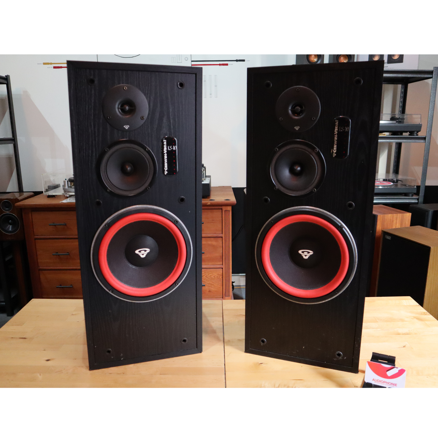 Cerwin Vega LS-10 Speakers(SOLD)