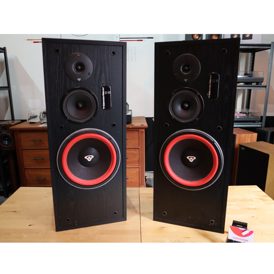 Cerwin Vega LS-10 Speakers(SOLD)